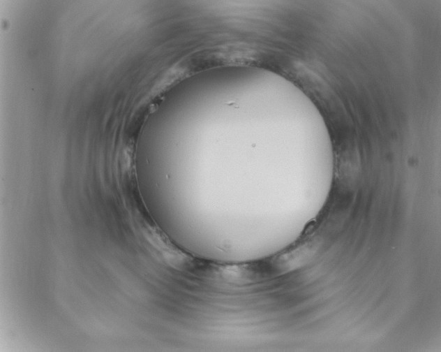 X0000088660382200706081709