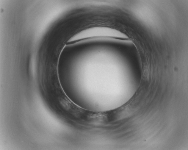 X0000088660383200706081709