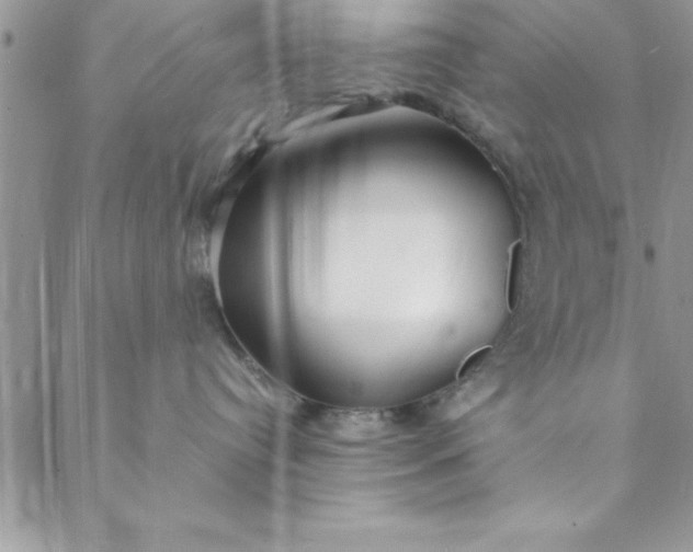 X0000088660384200706081709