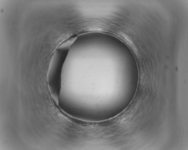 X0000088660385200706081708