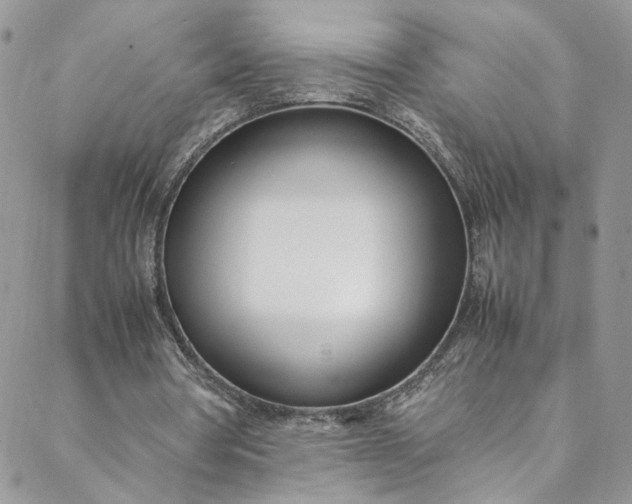 X0000088660386200706081708