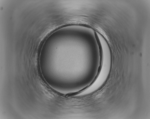 X0000088660387200706081708