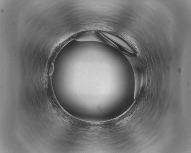 X0000088660388200706081708