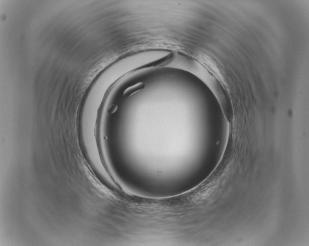 X0000088660389200706081708