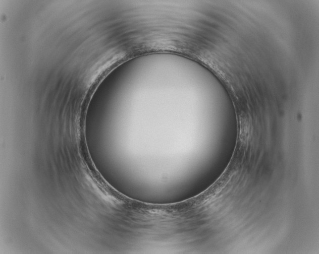 X0000088660390200706081708