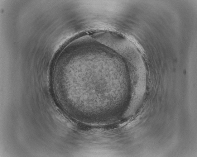 X0000088660391200706081708