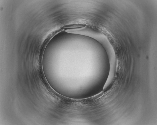 X0000088660392200706081708