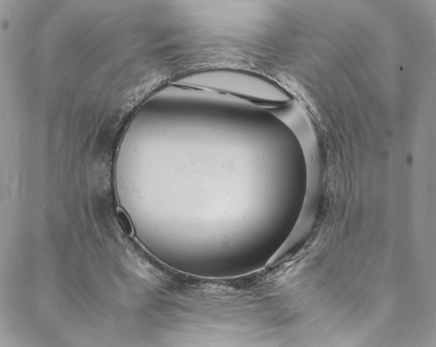 X0000088660393200706081708