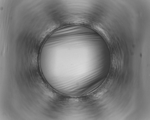 X0000088660394200706081708