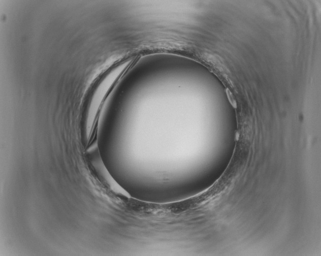 X0000088660395200706081708