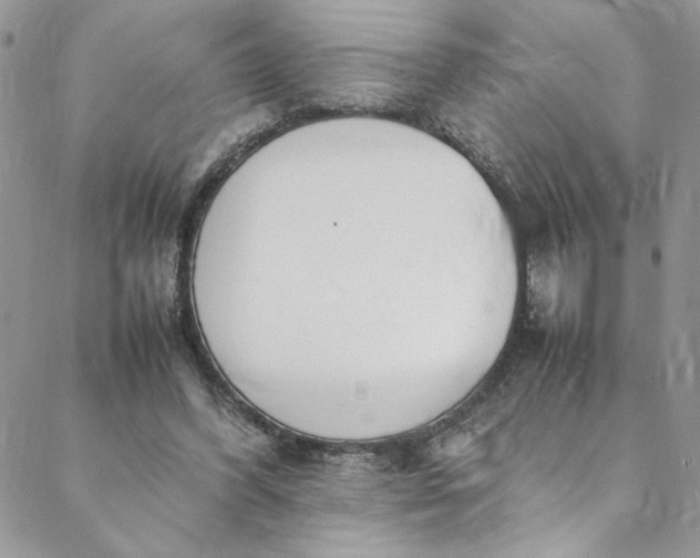 X0000088660396200706081708