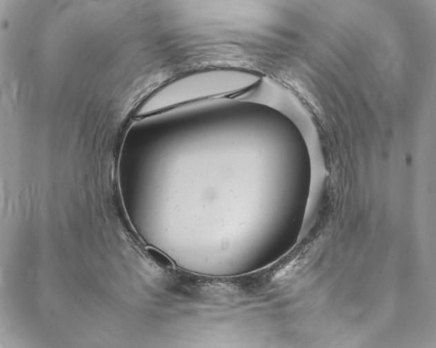 X0000088660397200706081708