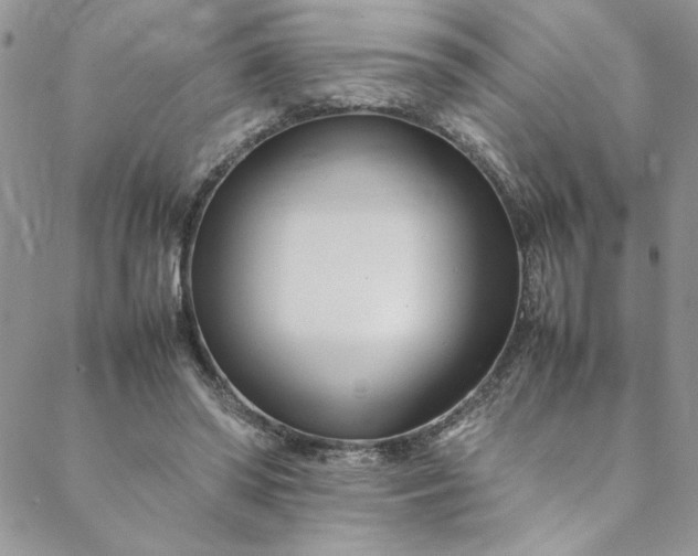 X0000088660398200706081708