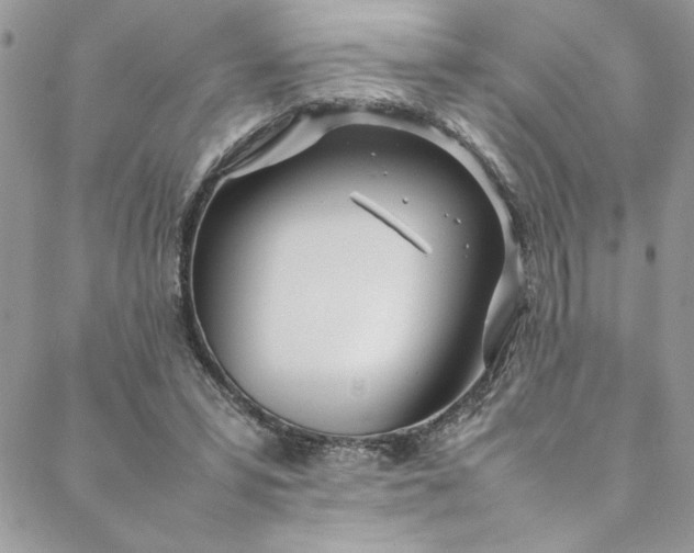 X0000088660399200706081708