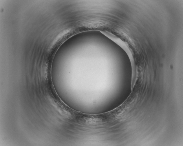 X0000088660400200706081708