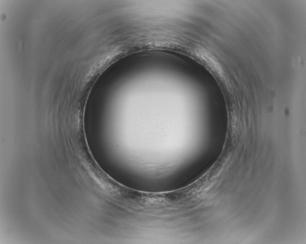 X0000088660401200706081708