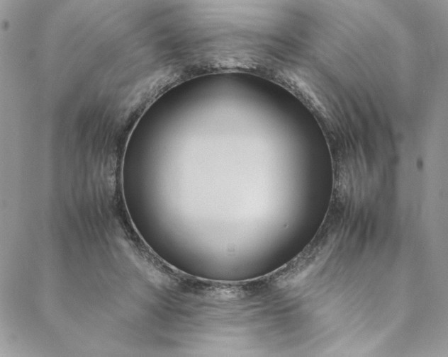 X0000088660402200706081708