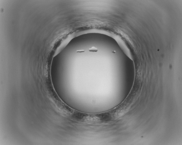 X0000088660403200706081708