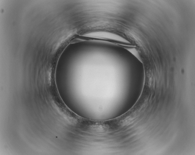 X0000088660404200706081708