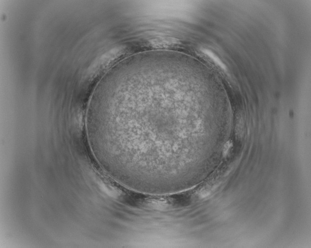 X0000088660405200706081708