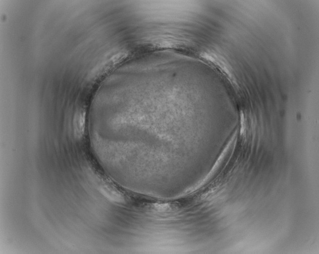 X0000088660406200706081708