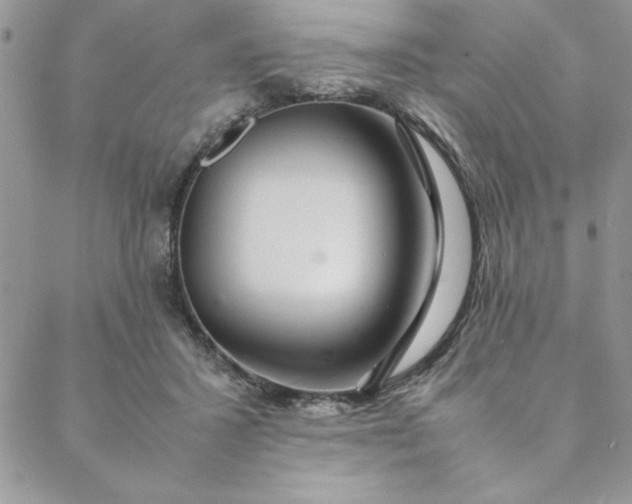 X0000088660407200706081708