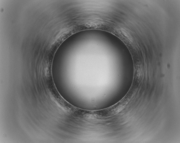 X0000088660408200706081708