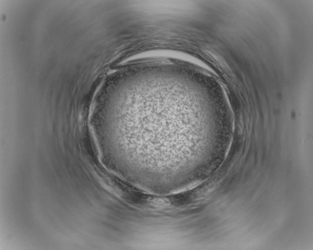 X0000088660409200706081708