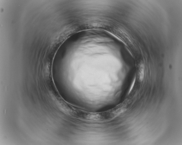 X0000088660410200706081708