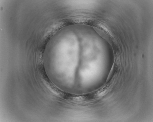 X0000088660411200706081707