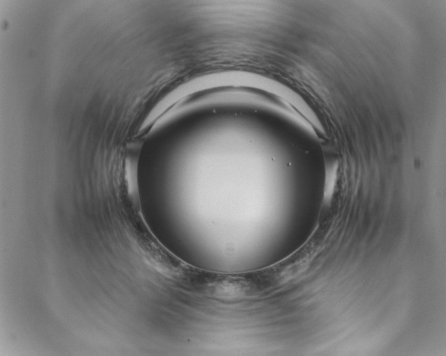 X0000088660412200706081707