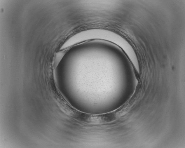 X0000088660413200706081707