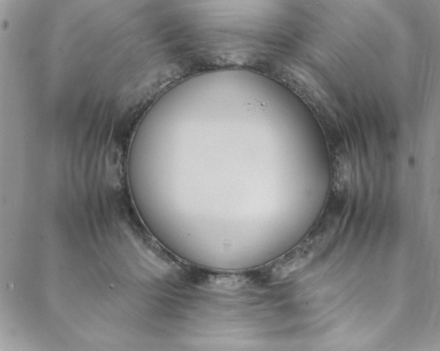 X0000088660414200706081707