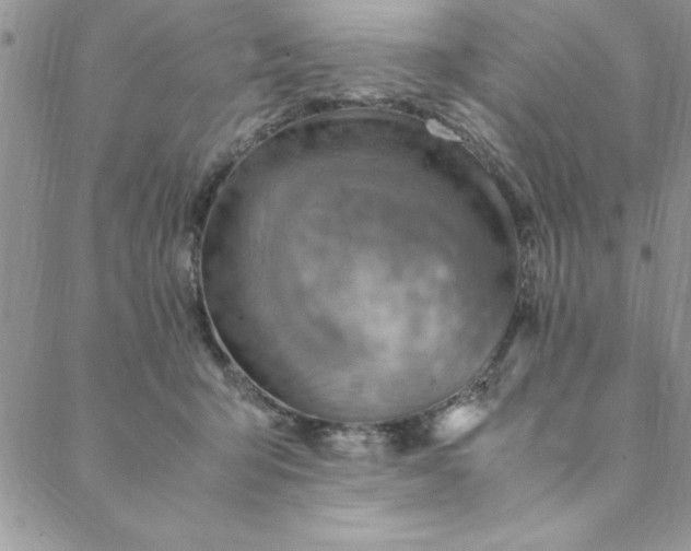 X0000088660415200706081707