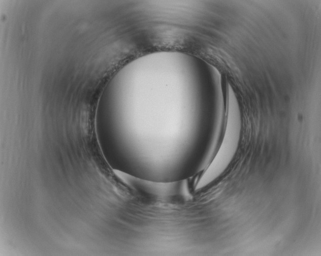 X0000088660416200706081707