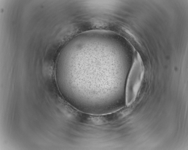 X0000088660417200706081707