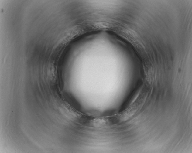 X0000088660418200706081707