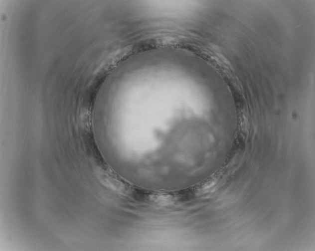 X0000088660419200706081707