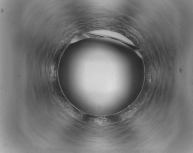 X0000088660420200706081707