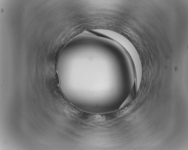 X0000088660421200706081707