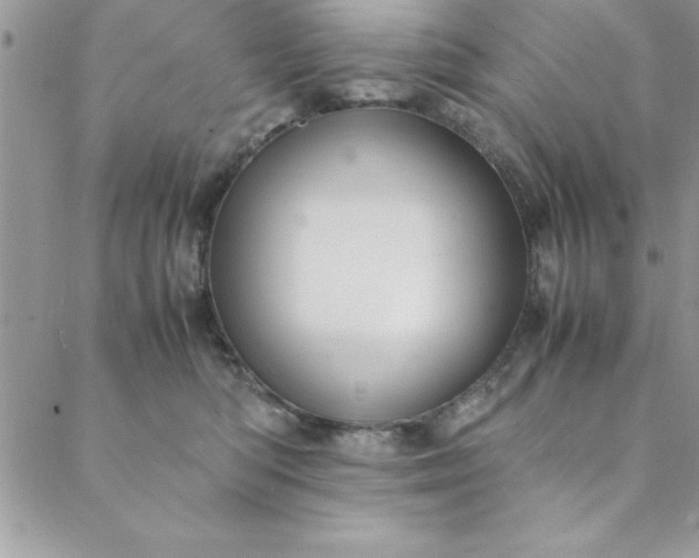 X0000088660422200706081707