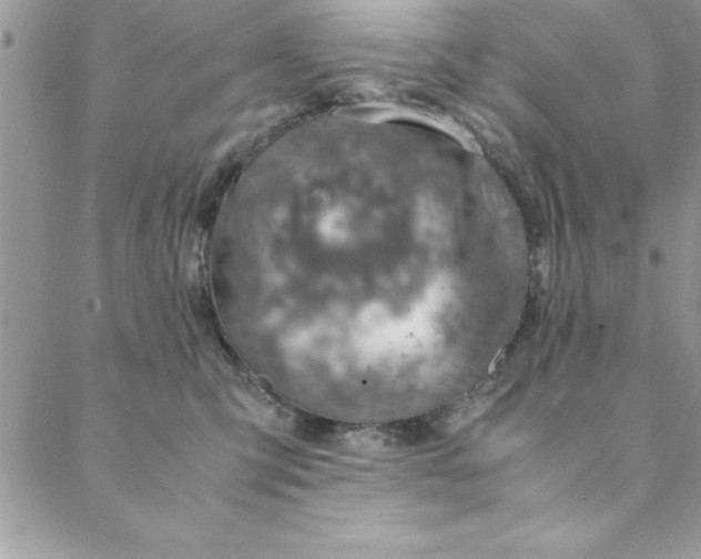 X0000088660423200706081707