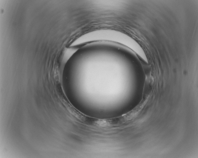 X0000088660425200706081707