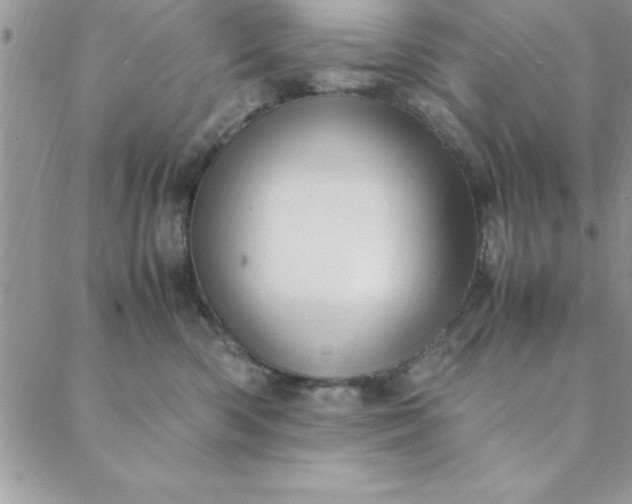 X0000088660426200706081707