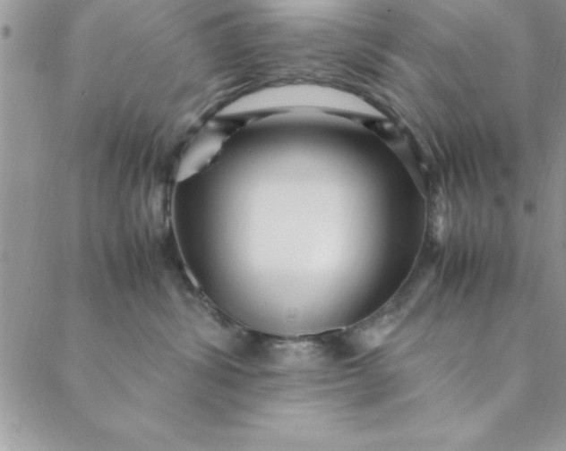 X0000088660428200706081707