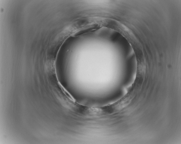 X0000088660429200706081707