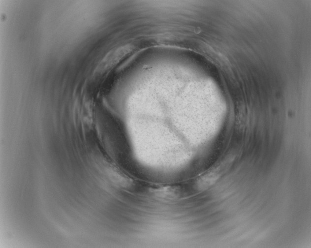 X0000088660430200706081707