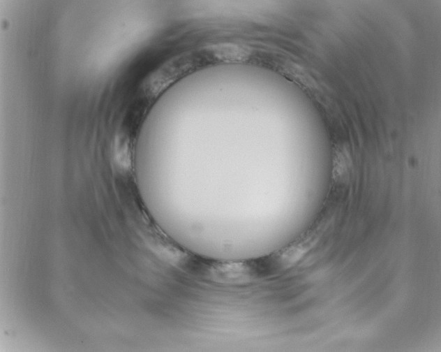 X0000088660431200706081707