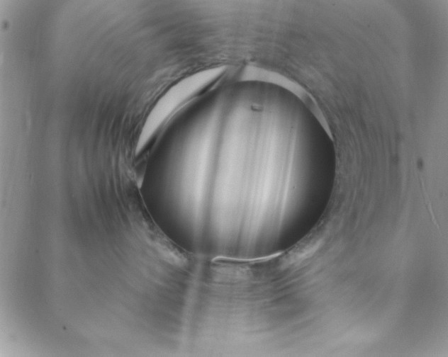 X0000088660432200706081707