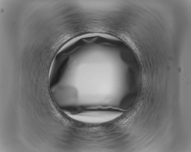 X0000088660433200706081706